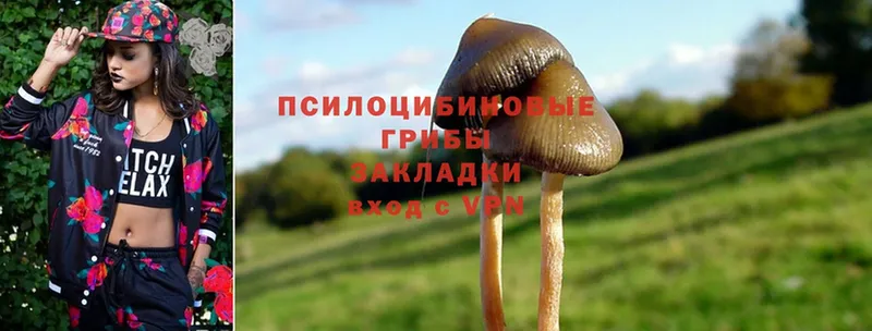 Псилоцибиновые грибы MAGIC MUSHROOMS  Азов 